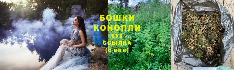 купить  цена  shop какой сайт  Бошки марихуана Ganja  Чкаловск 